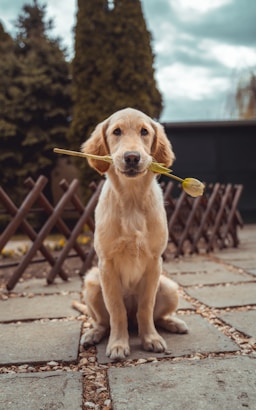 Марат К.